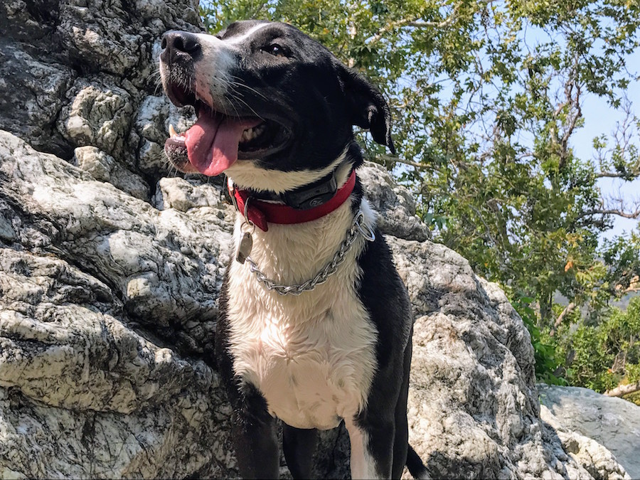 lucy_02.jpg
